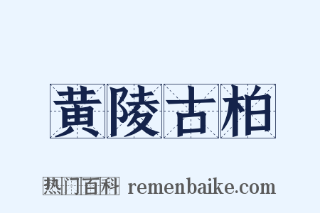 黄陵古柏是什么意思的图片